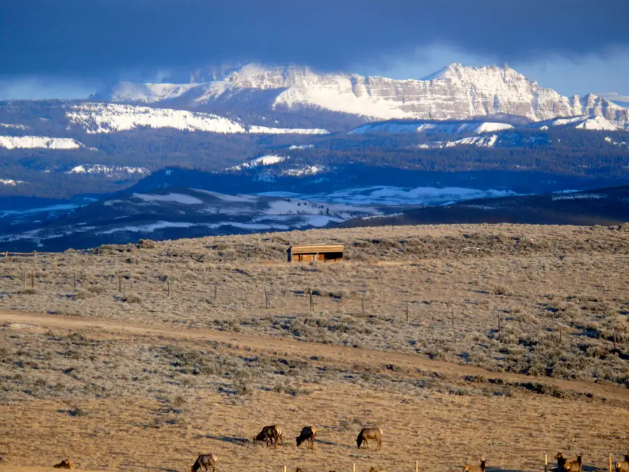 Lot 4 Flying Frog Lane, Dubois, WY 82513 - #3