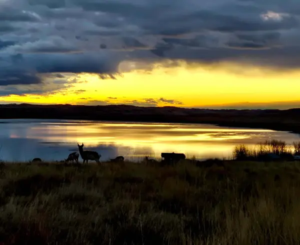 Shoreline Drive #Lot 68, Buffalo, WY 82834