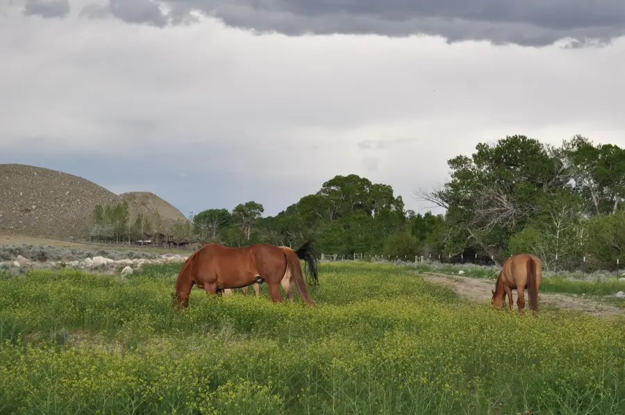 52 #Road 8UC, Powell, WY 82435 - #3