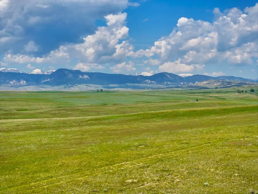 Tract 2 Trabing Road, Buffalo, WY 82834 - #3