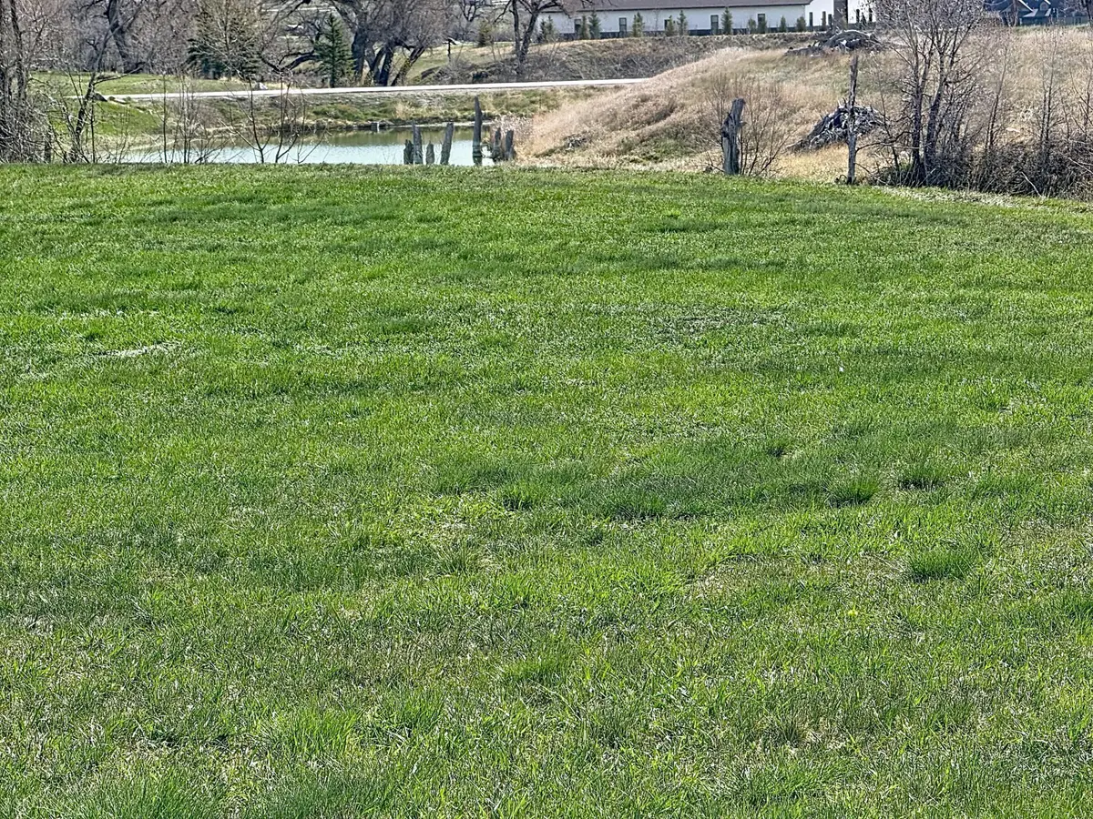 7 Jade Court, Buffalo, WY 82834 - #1