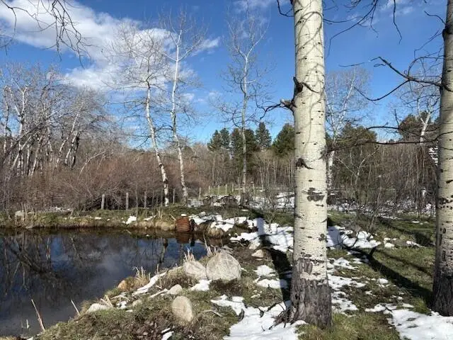 8 Buck Trail, Story, WY 82832 - #3