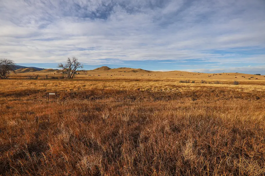 68 High Camp Lane, Buffalo, WY 82834 - #2