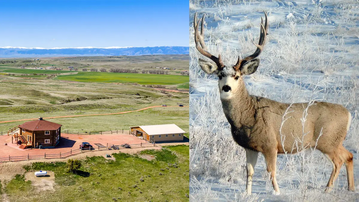 593 Lower Prairie Dog Road, Sheridan, WY 82801 - #1