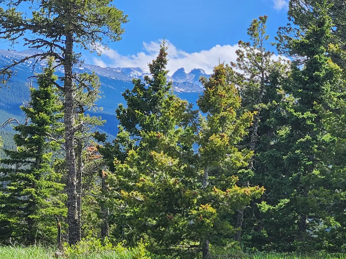Lot 12 Blacktooth Road, Big Horn, WY 82833 - #1