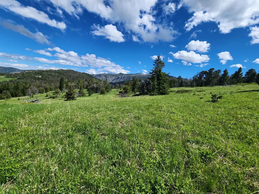 Lot 12 Blacktooth Road, Big Horn, WY 82833 - #3