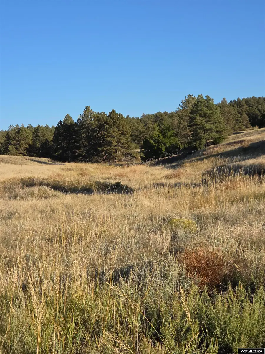 Lot 147 Coyote Trail, Fort Laramie, WY 82212 - Image #2