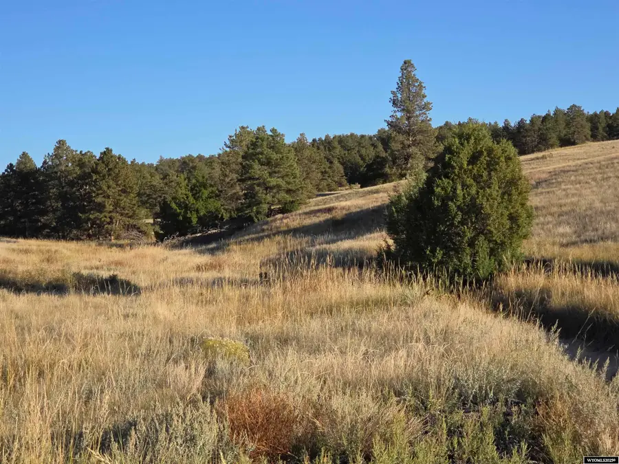 Lot 147 Coyote Trail, Fort Laramie, WY 82212 - Image #3