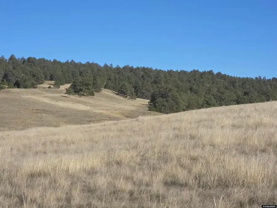 Lot 148 Coyote Trail Pine Ridge Ranch, Fort Laramie, WY 82212 - Image #2