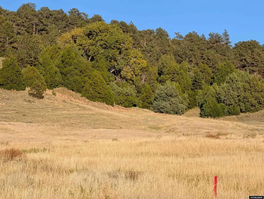 Lot 148 Coyote Trail Pine Ridge Ranch, Fort Laramie, WY 82212 - Image #3