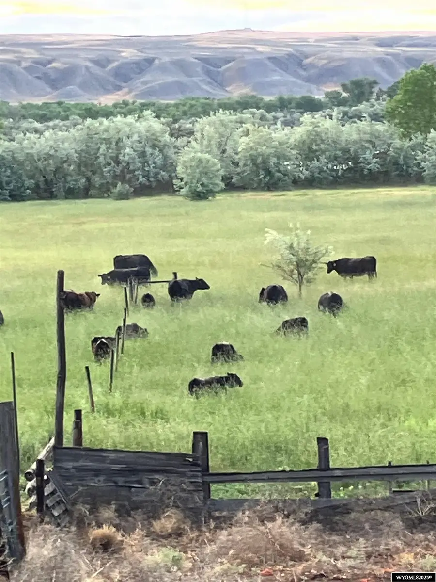 4127 Golf course rd, Basin, WY 82410 - Image #3