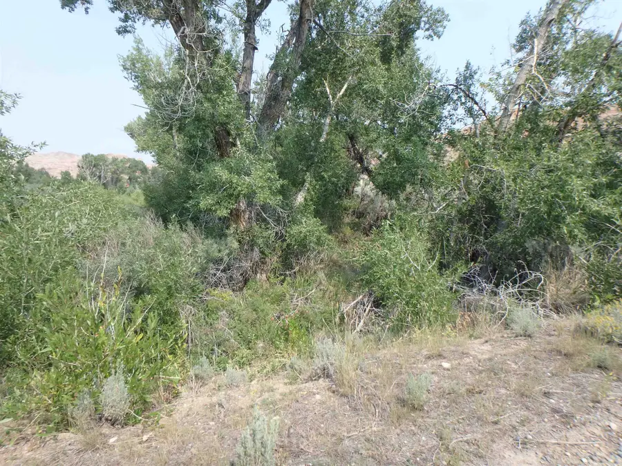 7 Crystal Avenue, Dubois, WY 82513 - #3
