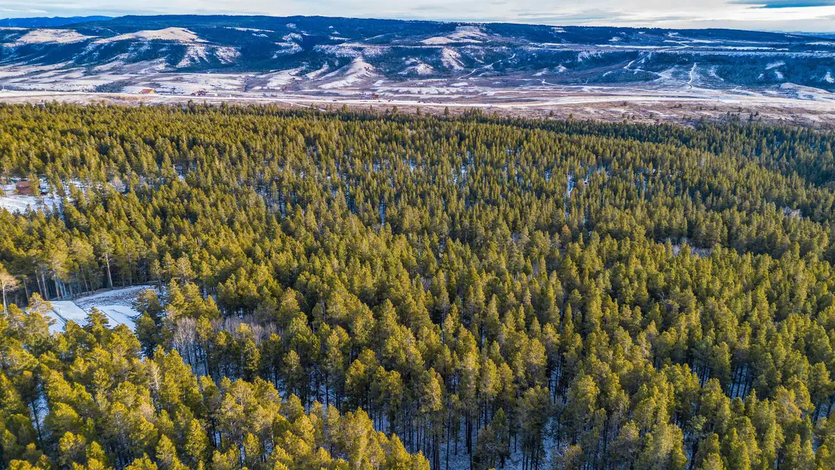 299 W Cliff Road, Casper, WY 82601 - #1