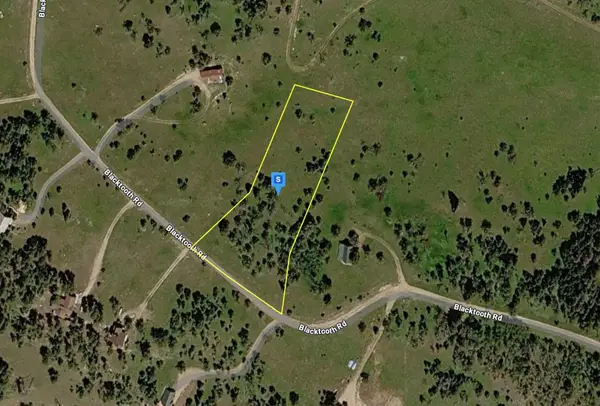 65 Blacktooth Road, Big Horn, WY 82833