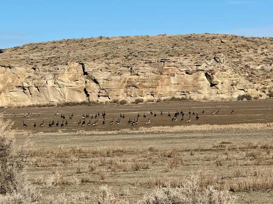 3824 Basin Gardens Rd, Basin, WY 82410 - #3