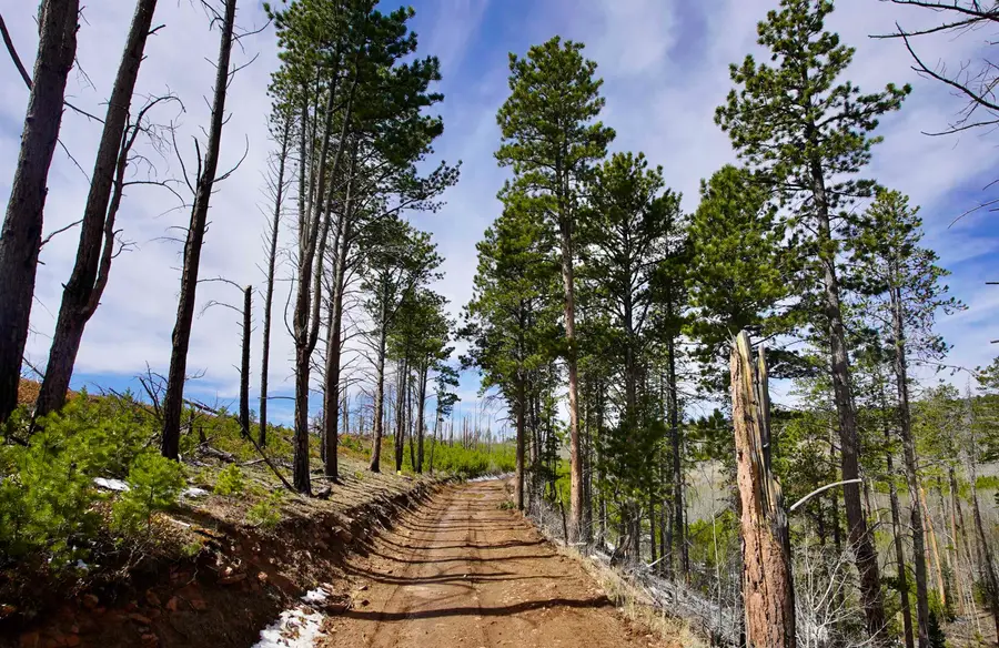 0000 Ponderosa Lot 1, Casper, WY 82601 - #3