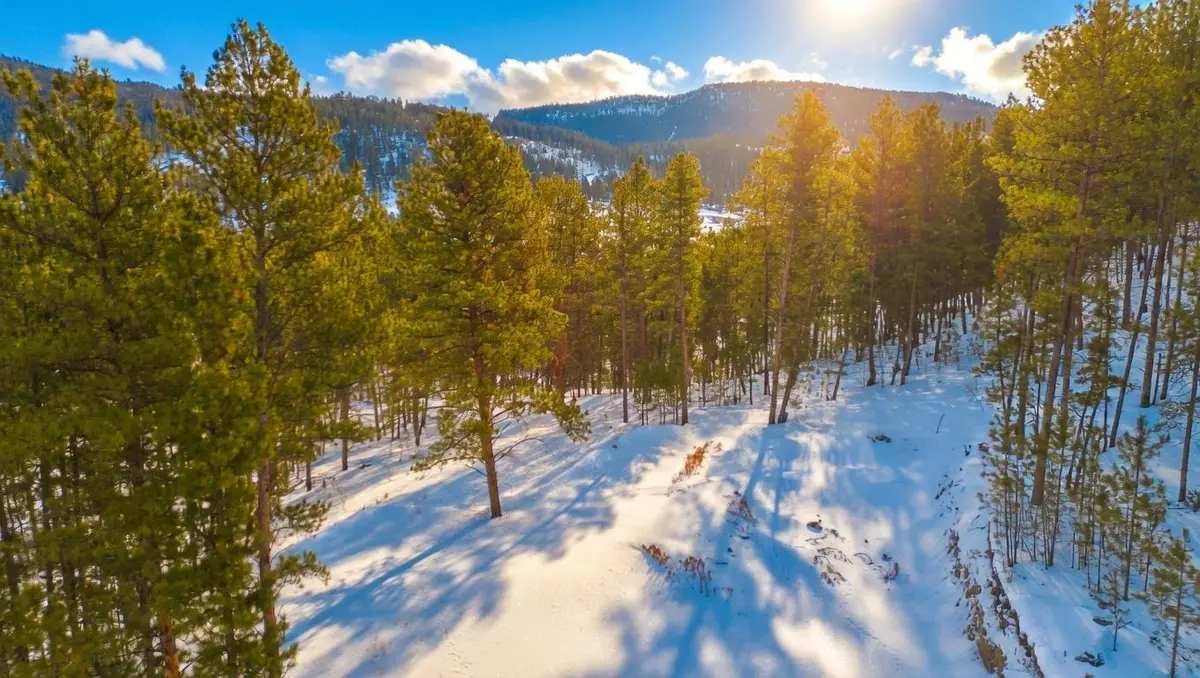 7 Wilderness Trail, Newcastle, WY 82701 - #1