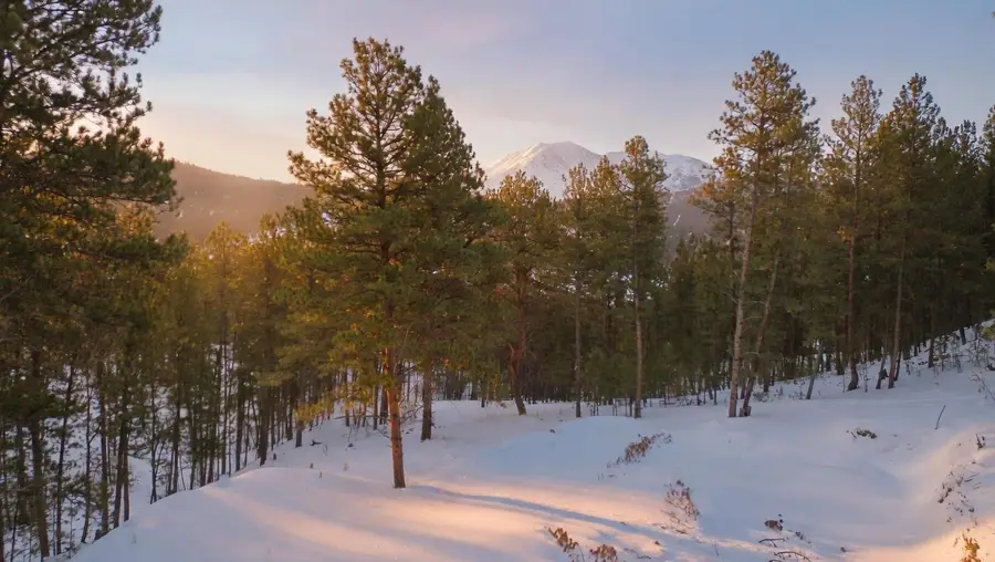 7 Wilderness Trail, Newcastle, WY 82701 - #3