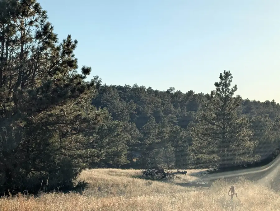 Lot 149 Coyote Trail, Fort Laramie, WY 82212 - #2