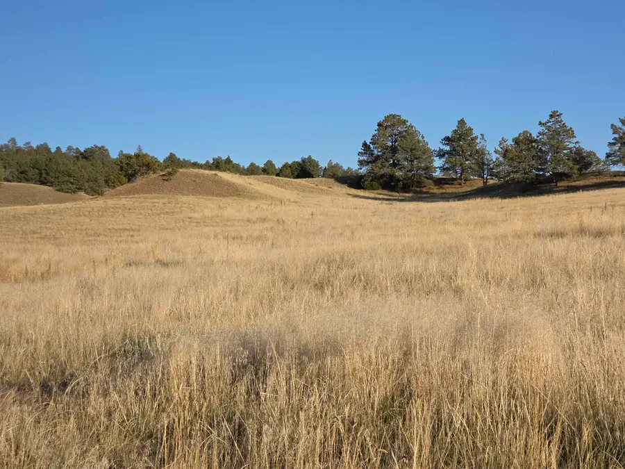 Lot 147 Coyote Trail, Fort Laramie, WY 82212 - #3