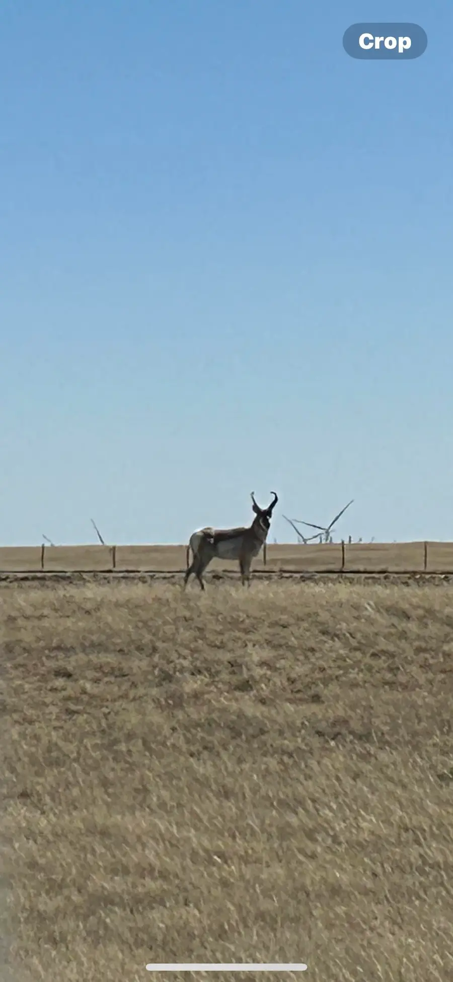 Tract 291 BOUNDARY Rd, Cheyenne, WY 82009 - #2
