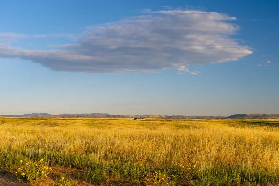 Tract 291 BOUNDARY Rd, Cheyenne, WY 82009 - #3