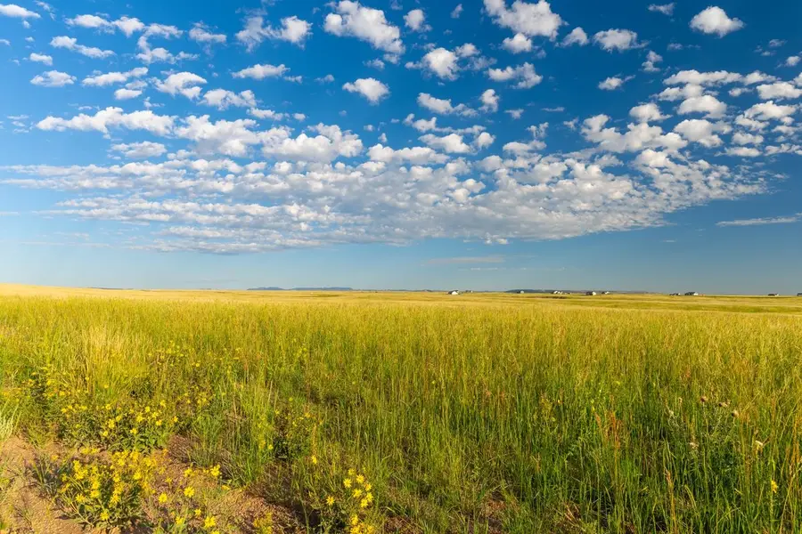 Tract 353 South Rd, Cheyenne, WY 82009 - #3