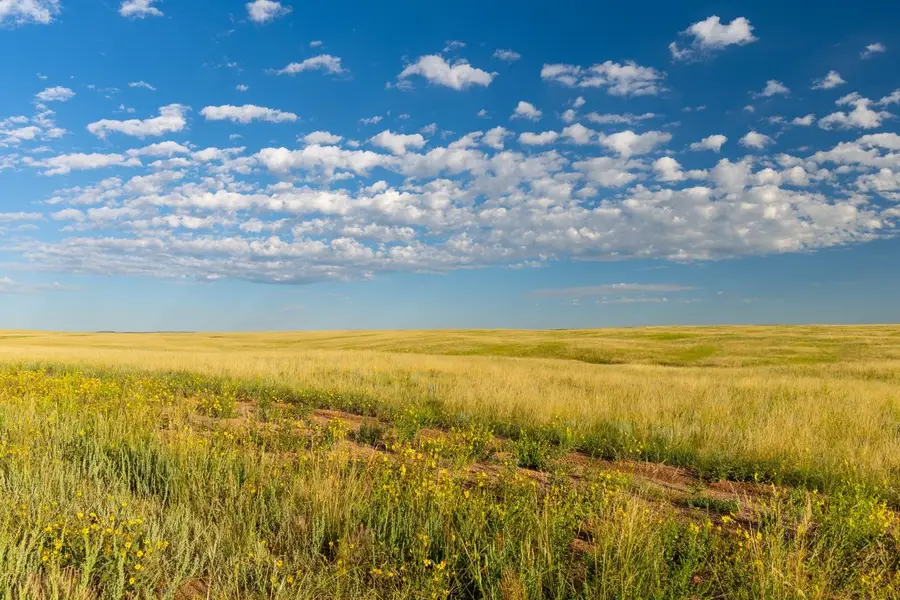 Tract 386 Range Lind Rd, Cheyenne, WY 82009 - #2