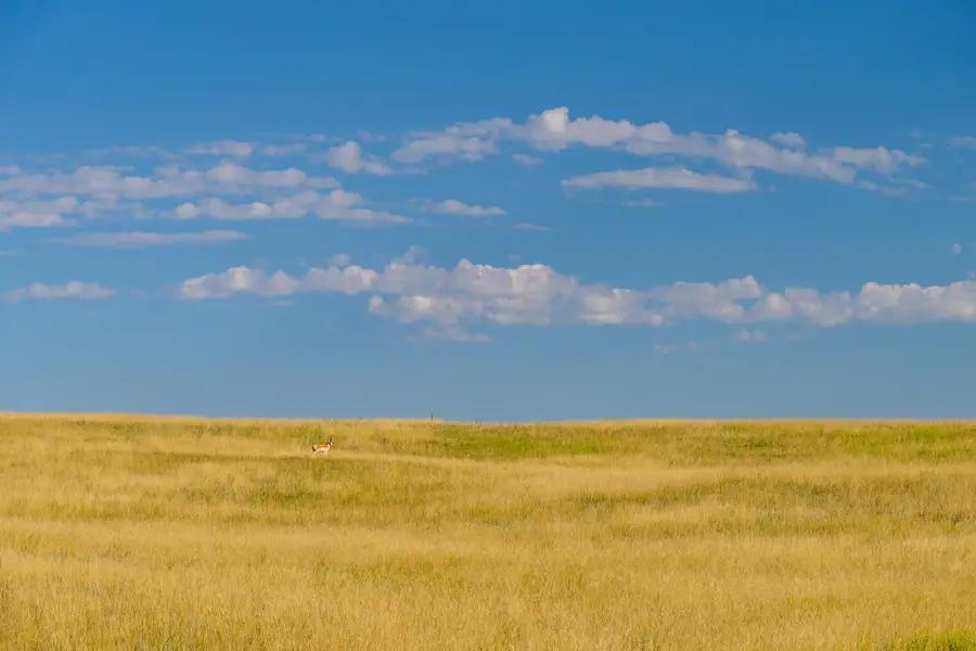 Tract 386 Range Lind Rd, Cheyenne, WY 82009 - #3