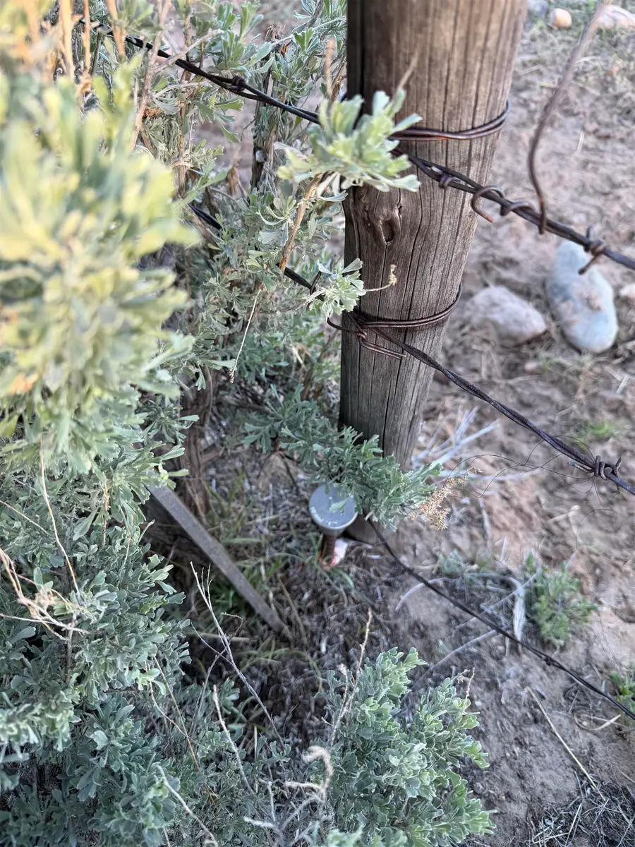 Lot 4 Viewpoint Minor, Dixon, WY 82323 - #2