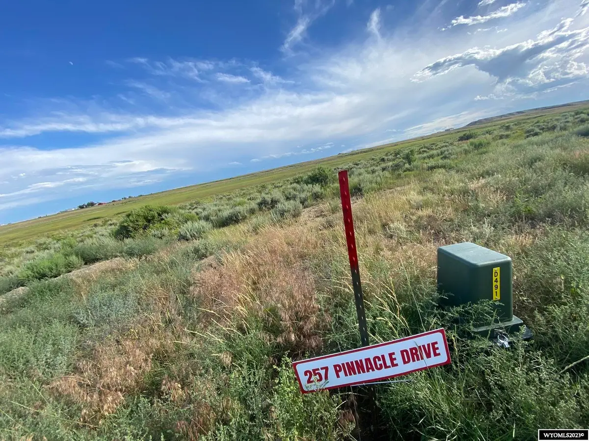 257 PINNACLE DRIVE, Lyman, WY 82937 - #1