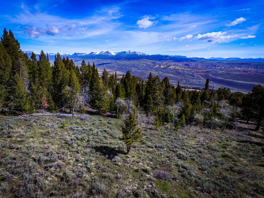 TBD Quaker Lane, Dubois, WY 82513 - #3