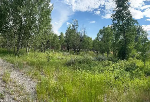 176 Creek Circle, Star Valley Ranch, WY 83127