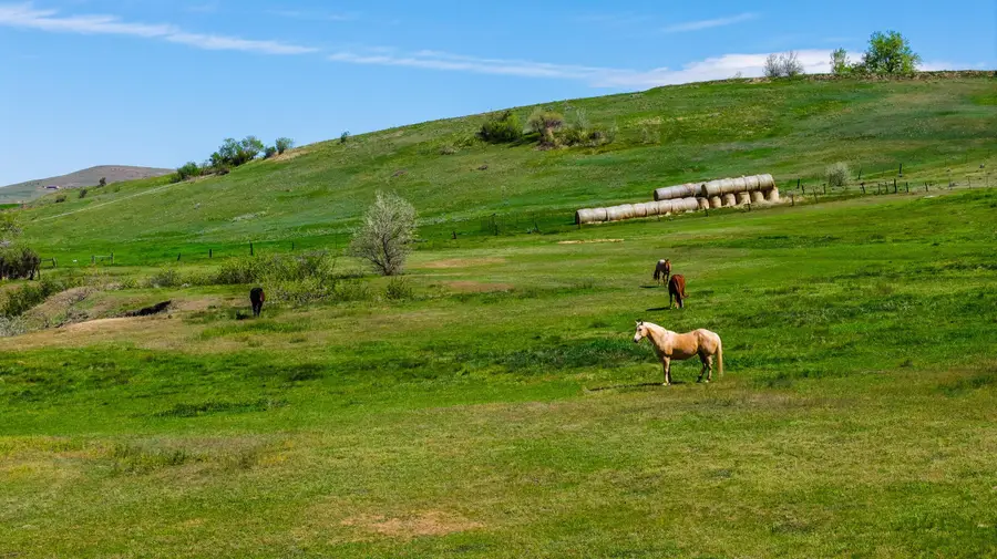 TBD Beaver Creek Rd, Sheridan, WY 82801 - #3