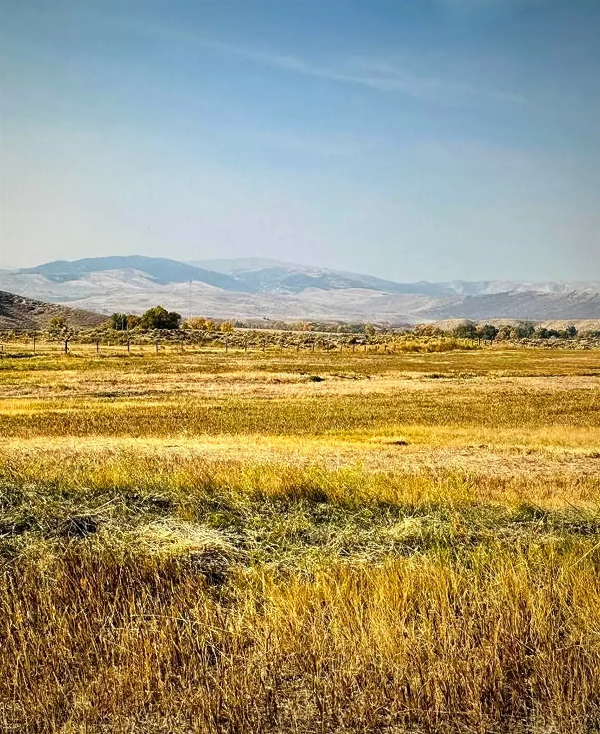 Burris Road, Crowheart, WY 82512 - #1