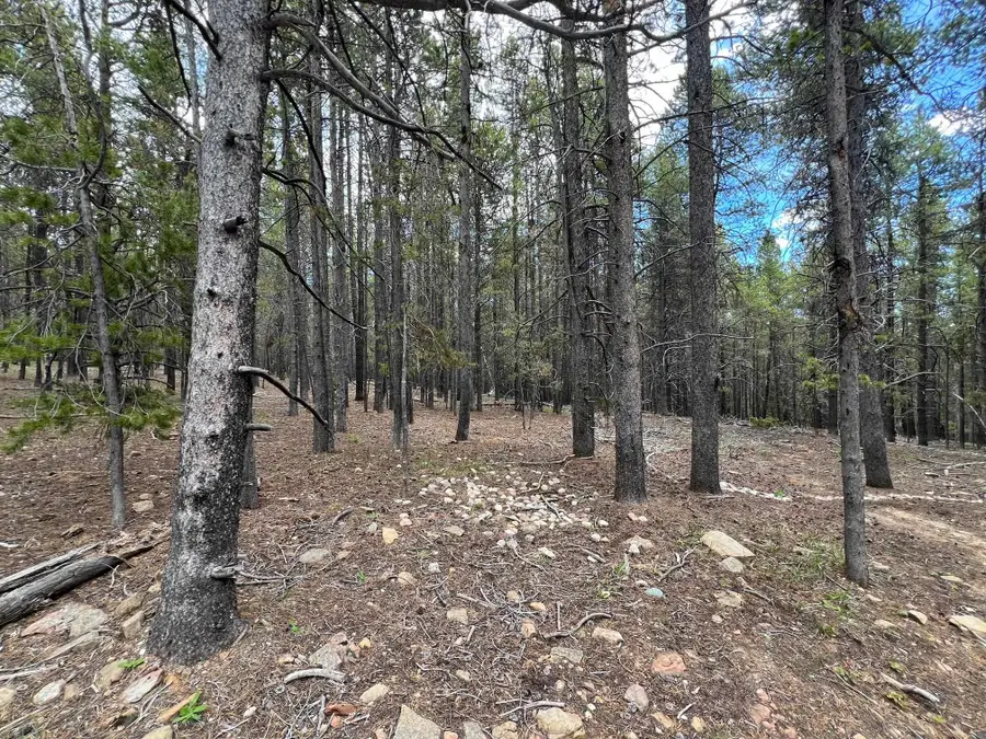 10555 THK Road, Casper, WY 82601 - #3