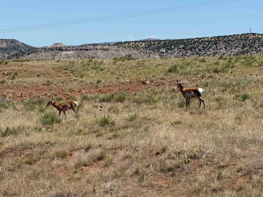 Lot 31 Red Rim Ranch, Thermopolis, WY 82443 - #2