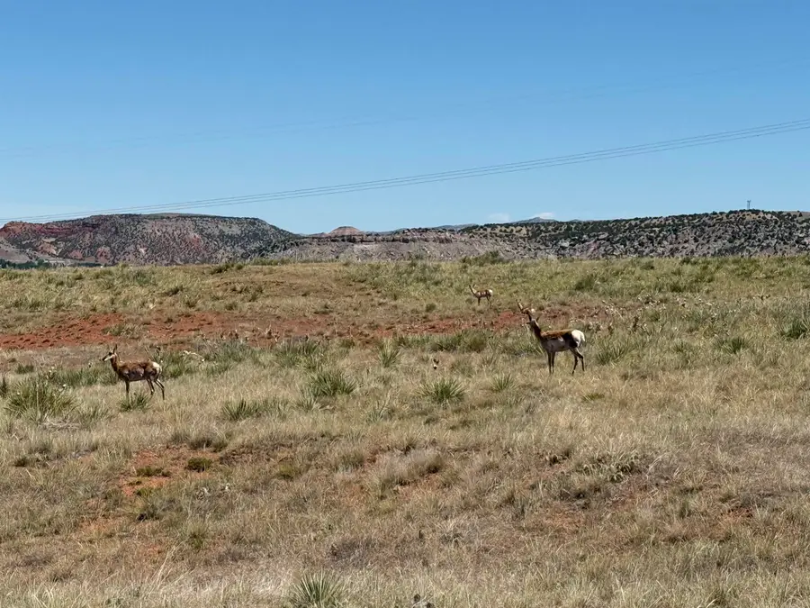 Lot 31 Red Rim Ranch, Thermopolis, WY 82443 - #3