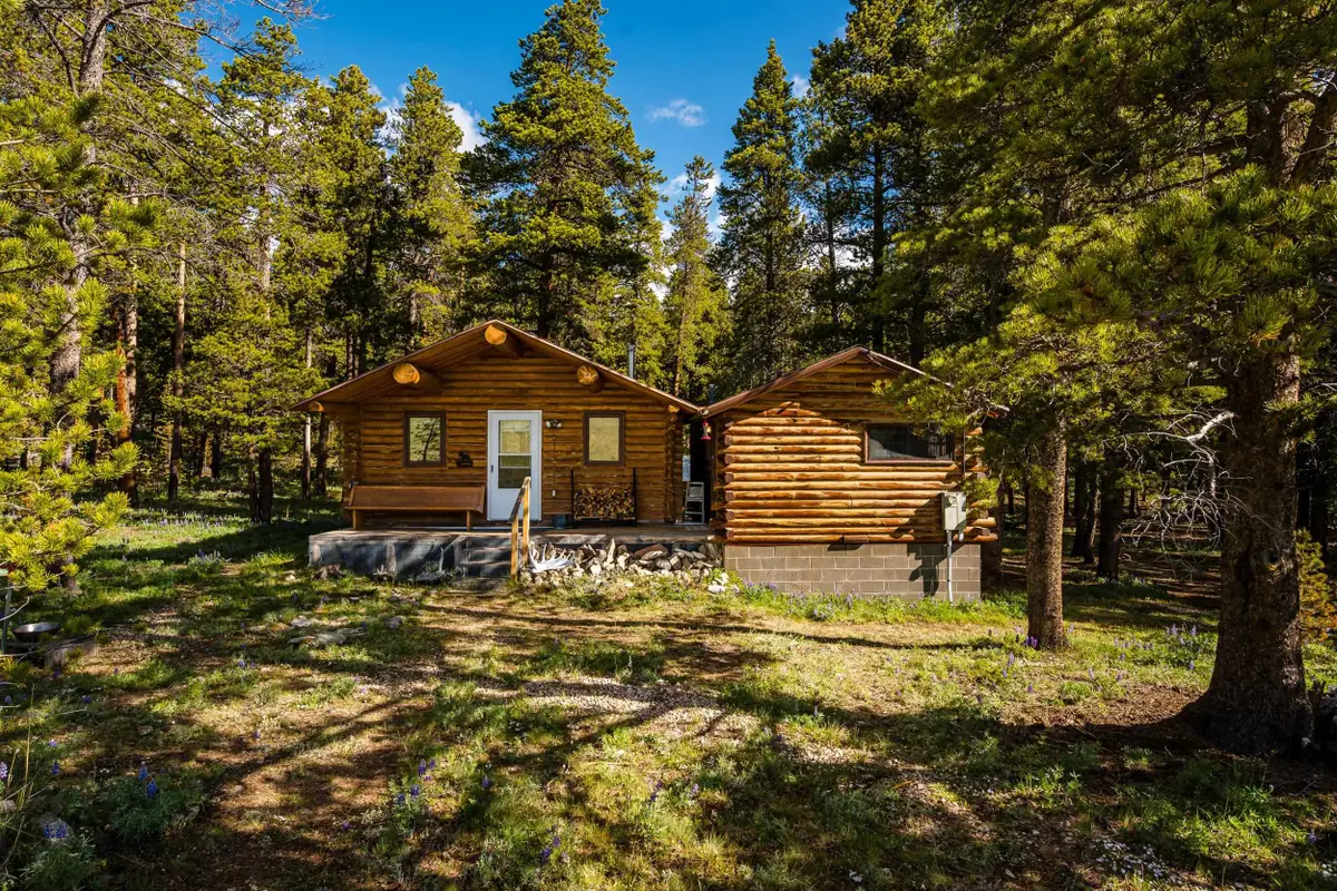 128 Piton Place, Buffalo, WY 82834 - #1