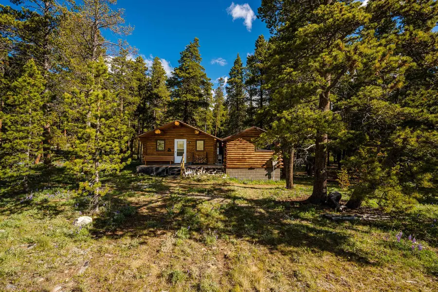 128 Piton Place, Buffalo, WY 82834 - #2