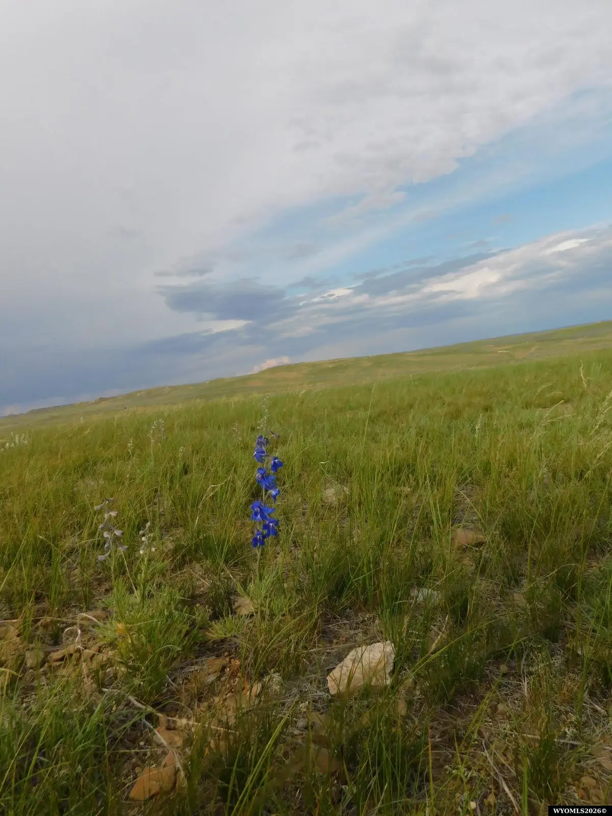 18500 Stuckenhoff ST, Casper, WY 82601 - #1