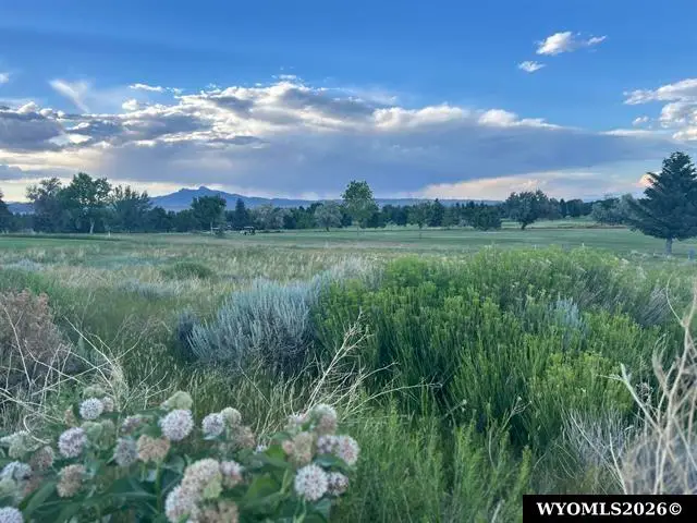 714 Olive Glenn Drive, Cody, WY 82414 - #2