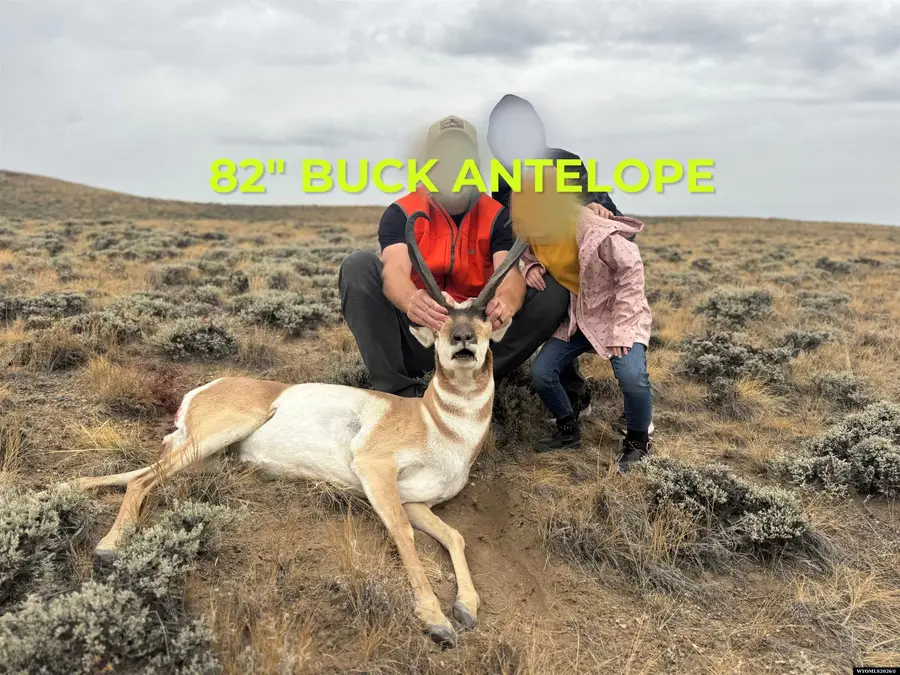 TBD Hwy 789, Lander, WY 82520 - #3