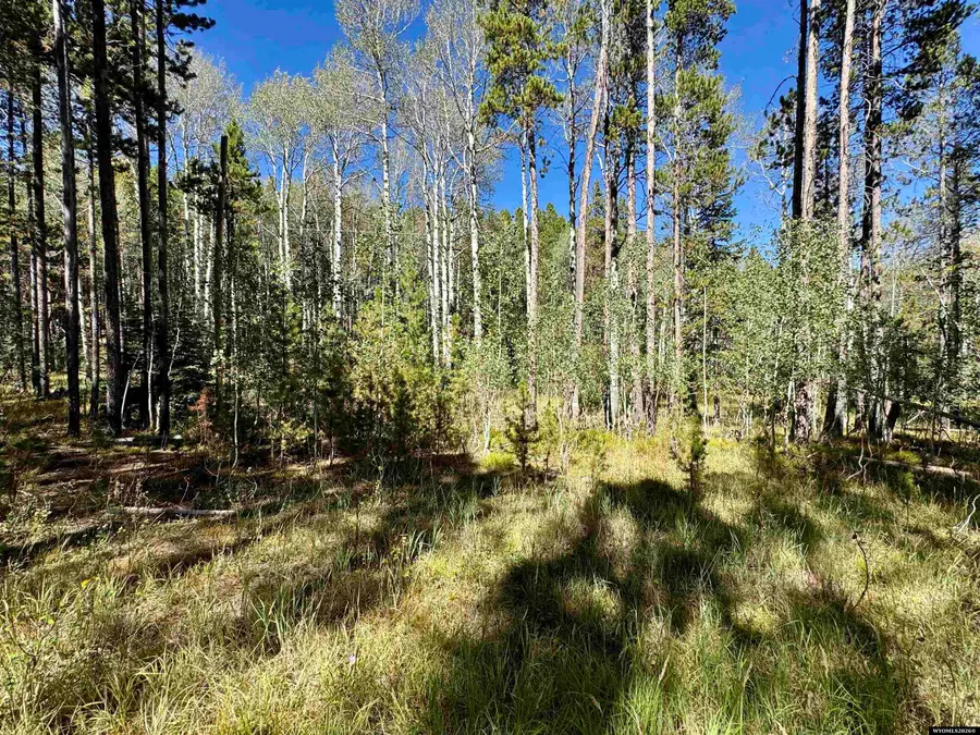 Lot 8 Lemmers, Casper, WY 82601 - #2