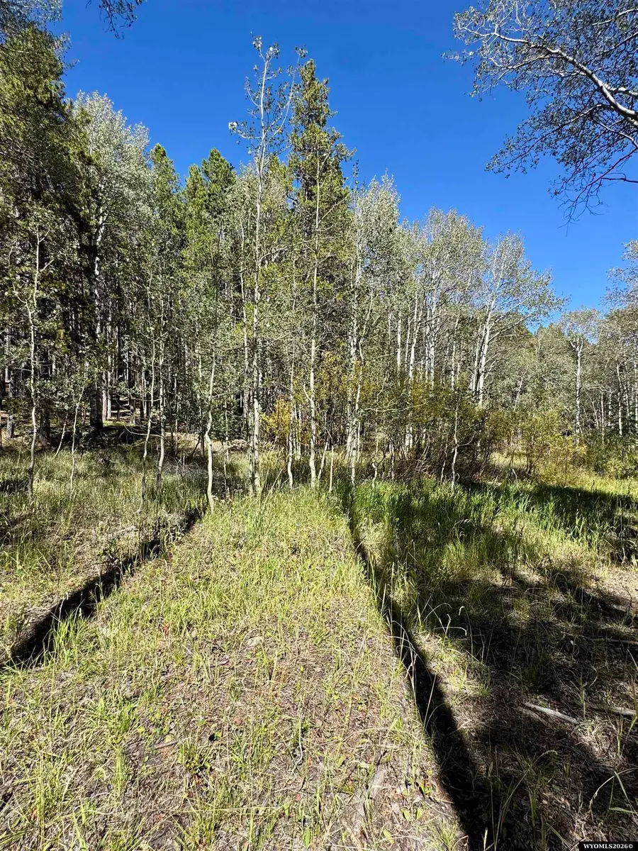Lot 8 Lemmers, Casper, WY 82601 - #3