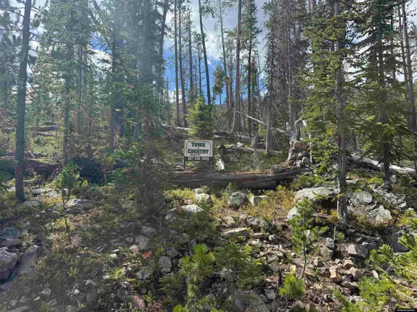 Tract 95 Overlook Retreat, Elk Mountain, WY 82324-0000