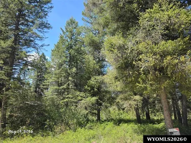 L-33 Spurwood Drive, Star Valley Ranch, WY 83127 - #1