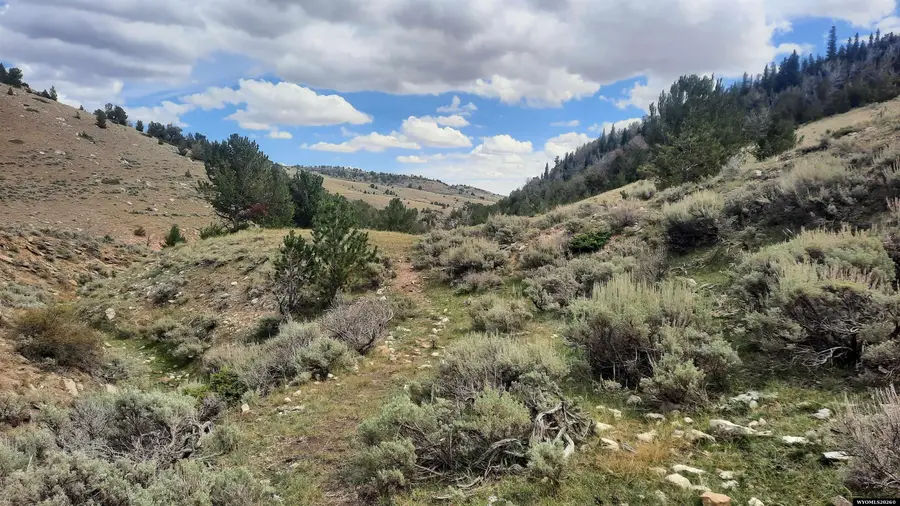 45777 Morales McKenna Rd, Arminto, WY 82630 - #3